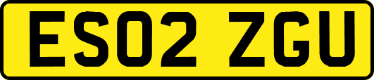 ES02ZGU