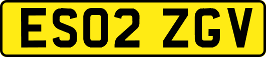 ES02ZGV