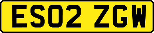 ES02ZGW