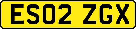 ES02ZGX