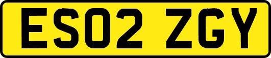 ES02ZGY