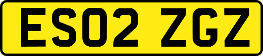 ES02ZGZ