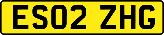 ES02ZHG