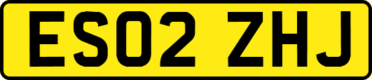 ES02ZHJ