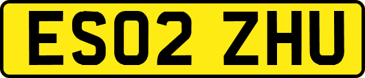 ES02ZHU