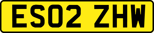 ES02ZHW