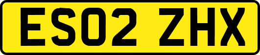 ES02ZHX