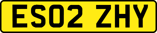 ES02ZHY