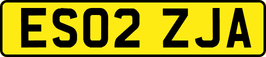 ES02ZJA