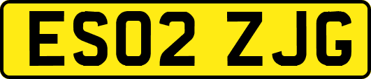 ES02ZJG