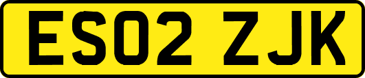 ES02ZJK