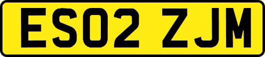 ES02ZJM