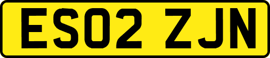 ES02ZJN