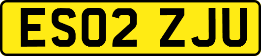 ES02ZJU