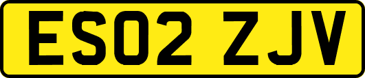 ES02ZJV