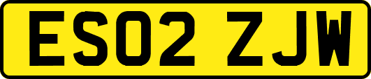 ES02ZJW