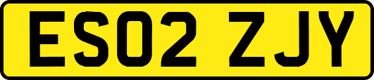 ES02ZJY