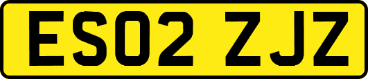 ES02ZJZ