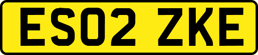 ES02ZKE