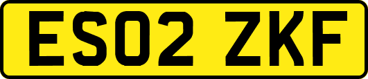 ES02ZKF