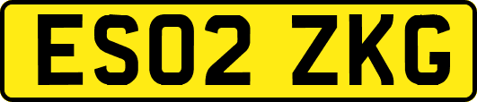 ES02ZKG