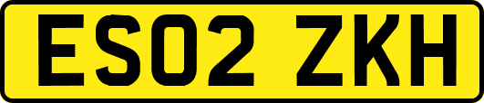 ES02ZKH