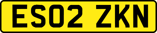 ES02ZKN