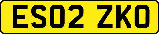 ES02ZKO