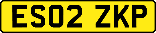 ES02ZKP