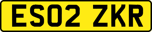 ES02ZKR