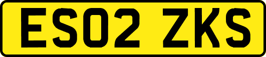 ES02ZKS