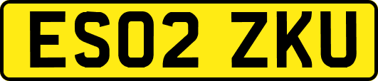 ES02ZKU