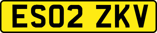 ES02ZKV