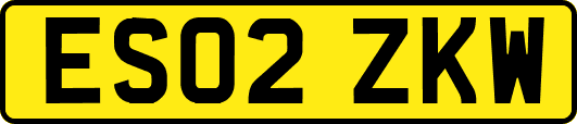 ES02ZKW