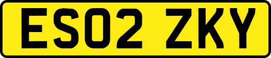 ES02ZKY