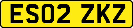 ES02ZKZ