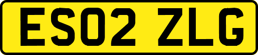 ES02ZLG
