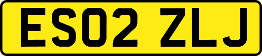 ES02ZLJ