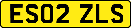 ES02ZLS
