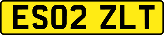 ES02ZLT