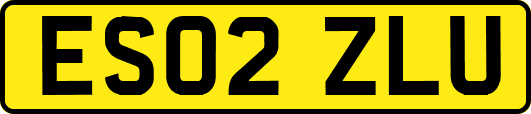 ES02ZLU