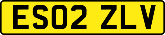 ES02ZLV