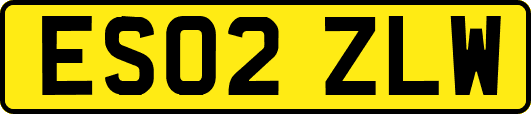 ES02ZLW