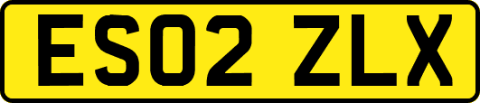 ES02ZLX