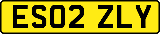 ES02ZLY