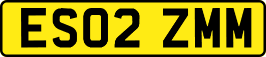 ES02ZMM