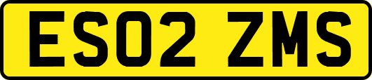 ES02ZMS