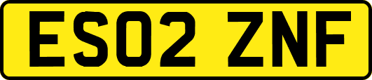 ES02ZNF