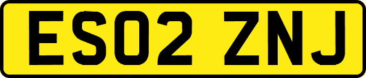 ES02ZNJ