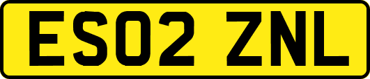 ES02ZNL